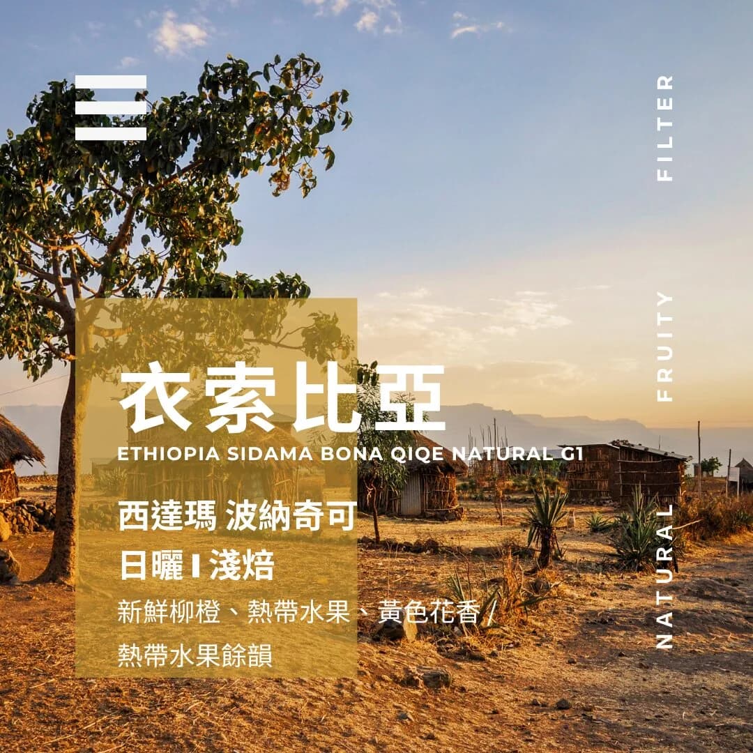 衣索比亞 ▸ 西達瑪 波納奇可, ethiopia coffee from 燃木咖啡研究所_咖啡豆販售專門