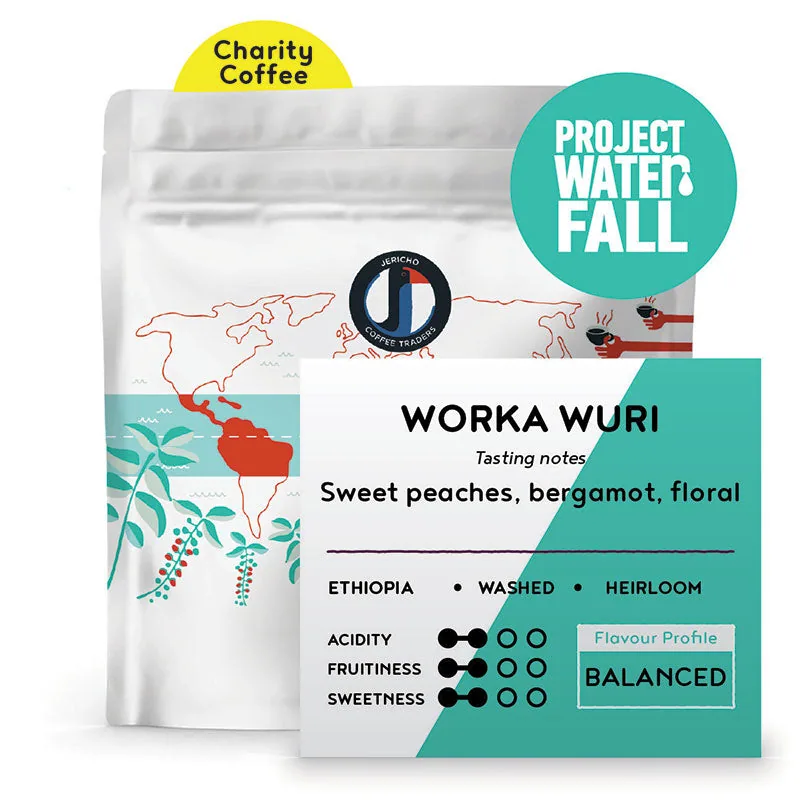 project waterfall - ethiopia, ethiopia coffee from jericho coffee traders roastery