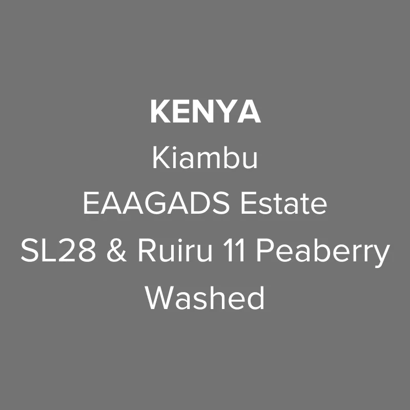 kenya kiambu eaagads estate sl28 & ruiru 11 peaberry washed pb top, kenya coffee from oma coffee roaster