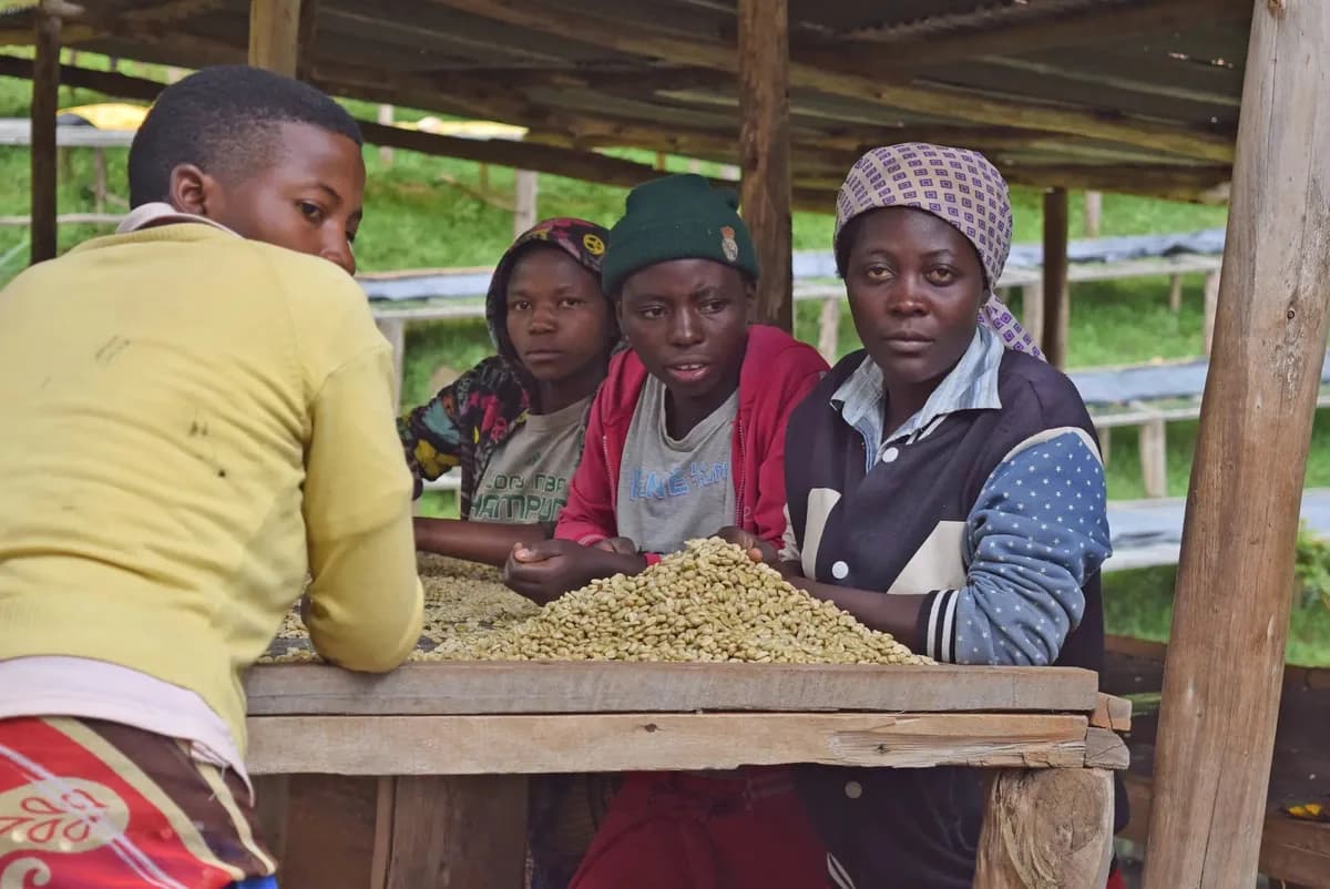 donation - donate a goat, rugori women's crown program, rwanda coffee from big dog coffee roasters