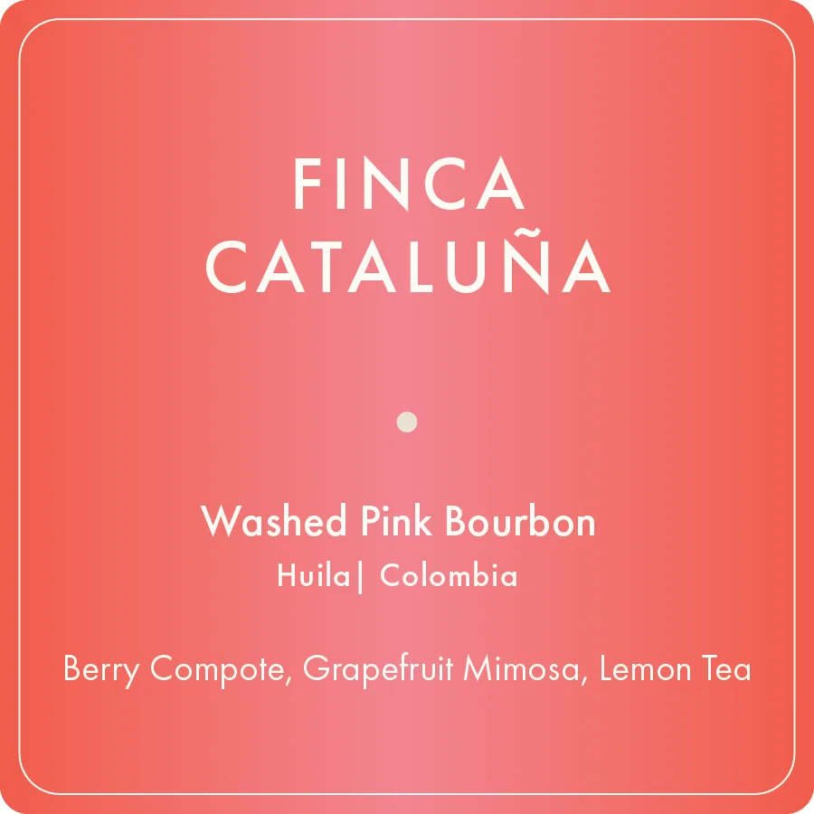 finca cataluña, colombia coffee from regalia