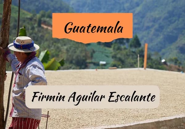 guatemala | firmin aguilar escalante, guatemala coffee from draft coffee roasters