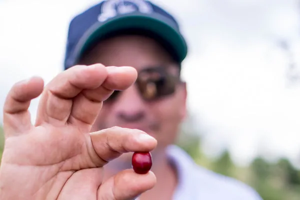 wilton benitez anaerobic natural tabi, colombia + indonesia coffee from crankhouse coffee