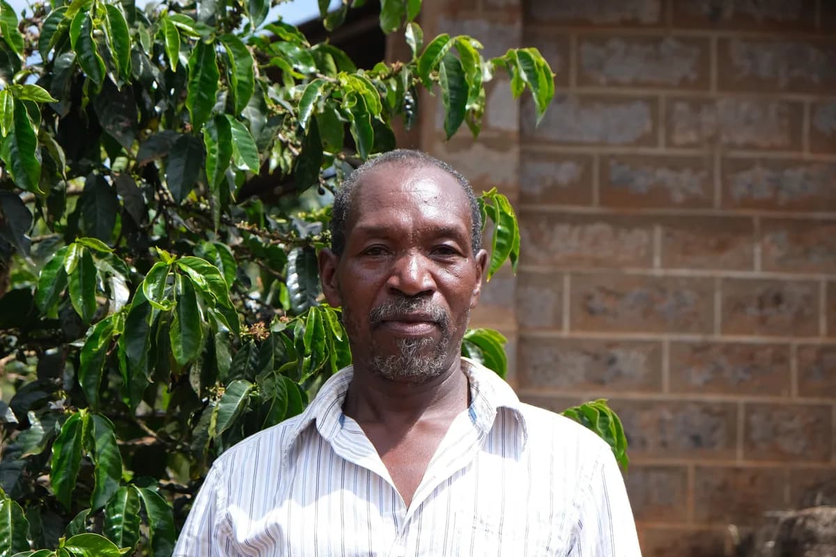 aa thiririka - kenya, kenya coffee from the fix coffee roasters