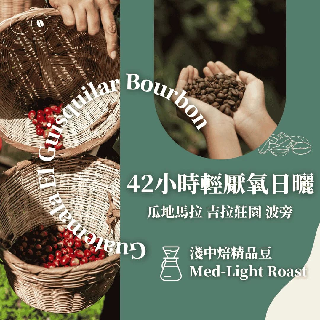 淺中焙|瓜地馬拉 吉拉莊園 波旁 42小時輕厭氧日曬 guatemala el guisquilar bourbon, guatemala coffee from gazecafe