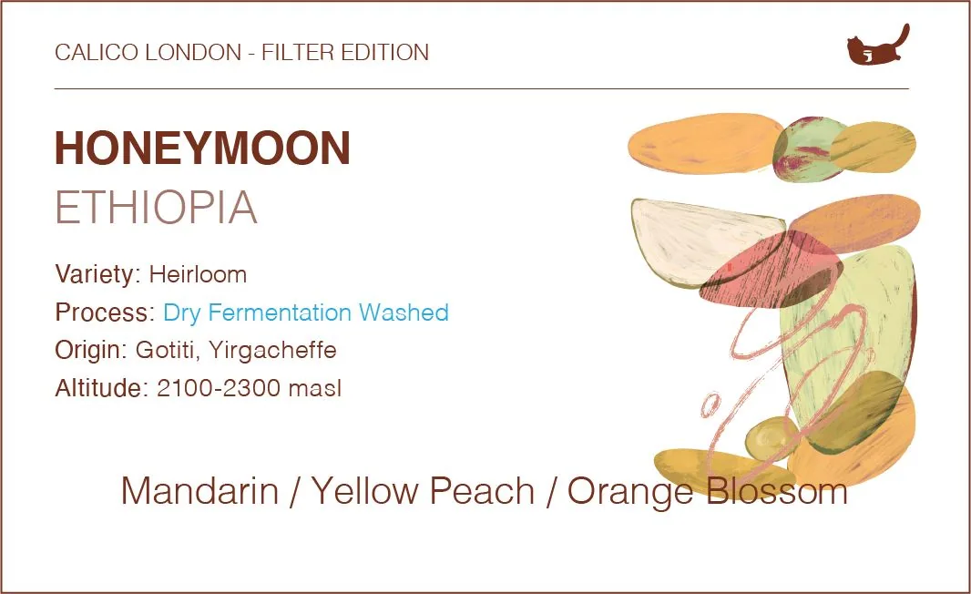 ethiopia gotiti honey moon - dry fermentation washed, ethiopia coffee from calico coffee