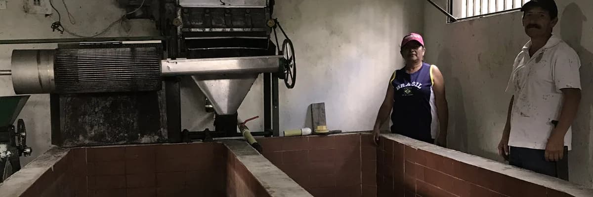 #67 colombia, santa elena #1 by maria damaris medina, colombia coffee from stillers coffee