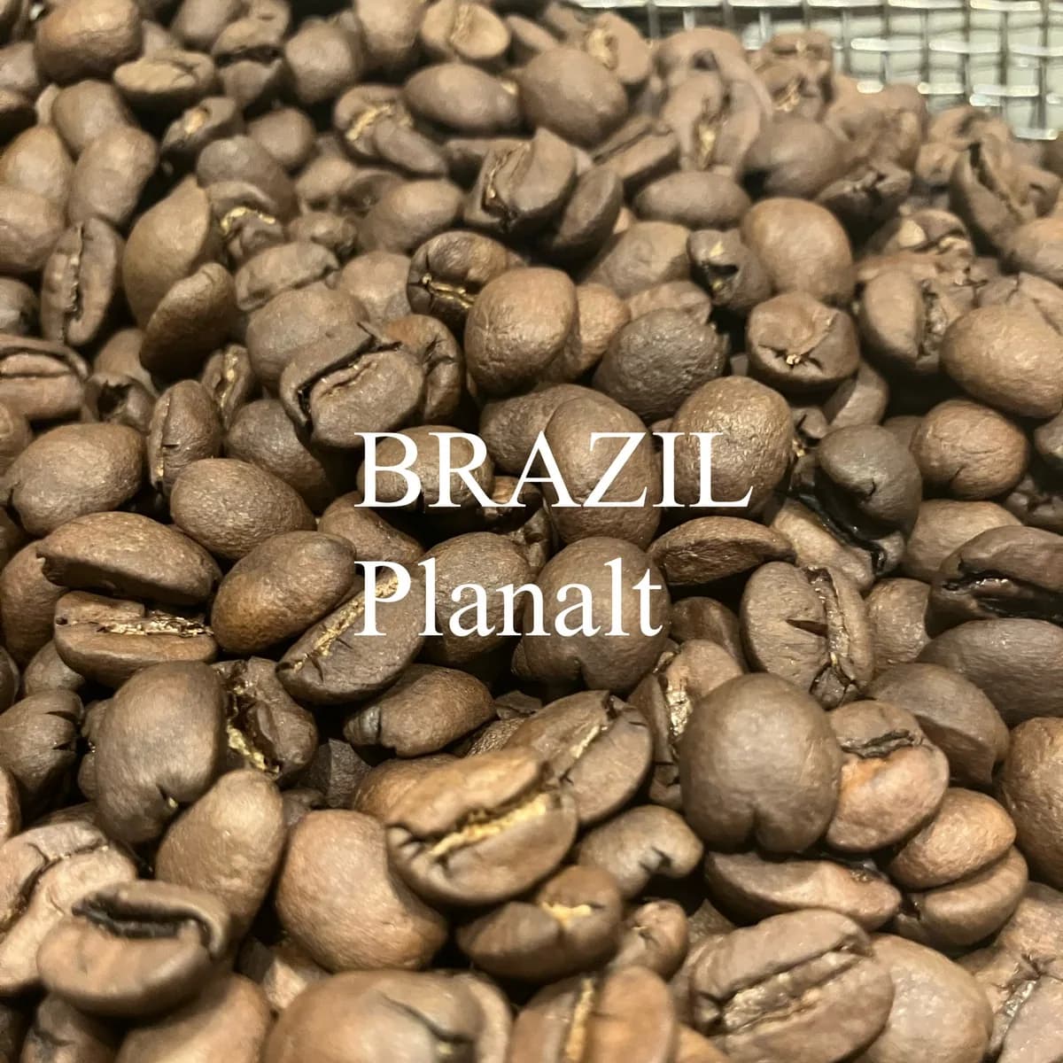 ブラジル・プラナウト 200g/brazil・planalt, brazil coffee from jupiters coffee roasters