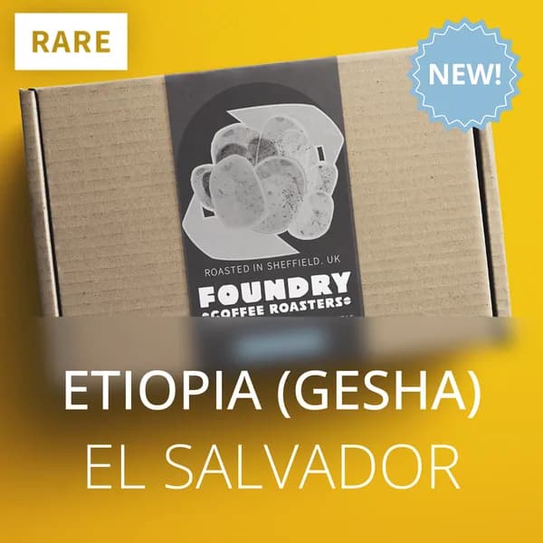 etiopia gesha - el salvador, el salvador coffee from foundry coffee roasters
