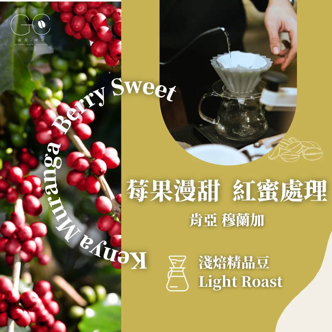 淺焙|肯亞 穆蘭加 莓果漫甜 紅蜜 kenya muranga smooth berry sweet, kenya coffee from gazecafe