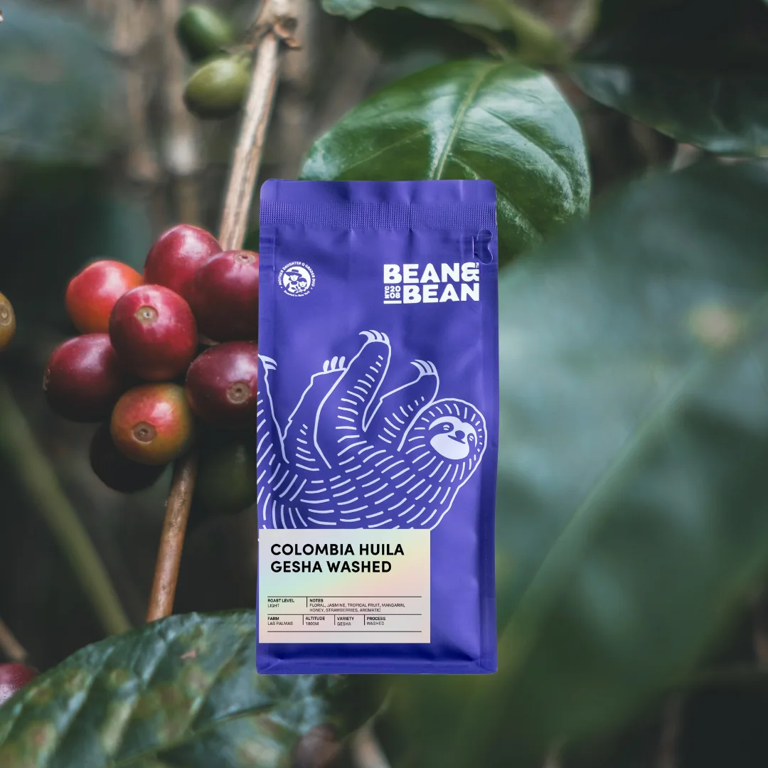 colombia huila gesha washed, colombia coffee from bean & bean queens — roastery & cafe