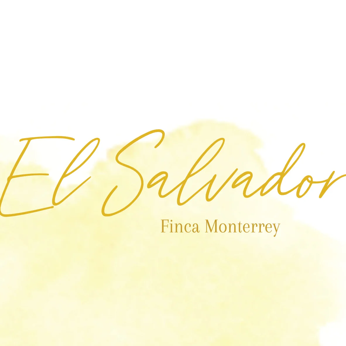 el salvador - finca monterrey, el salvador coffee from fire & flow coffee roastery & espresso bar