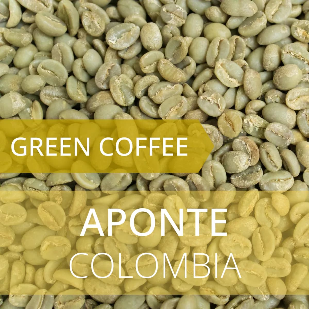 aponte - colombia, colombia coffee from foundry coffee roasters