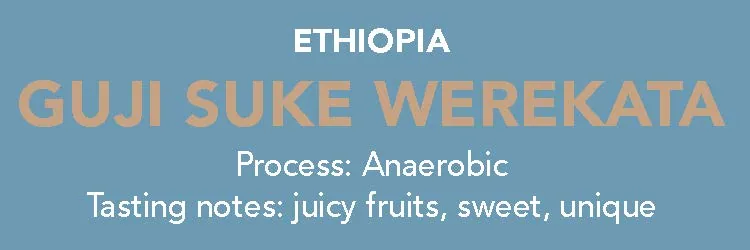 dose - ethiopia, guji suke werekata, ethiopia coffee from methodical coffee