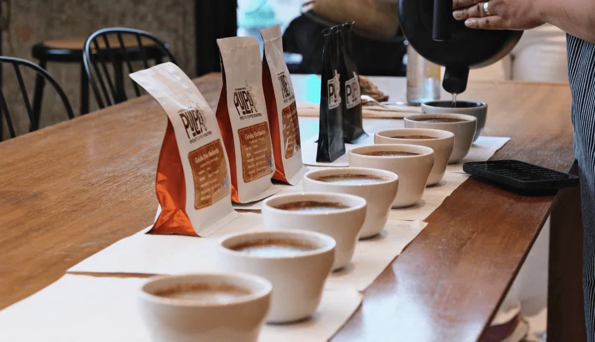 panama geisha omakase coffee experience, panama coffee from pulpa specialty coffee - roastery & coffee lab