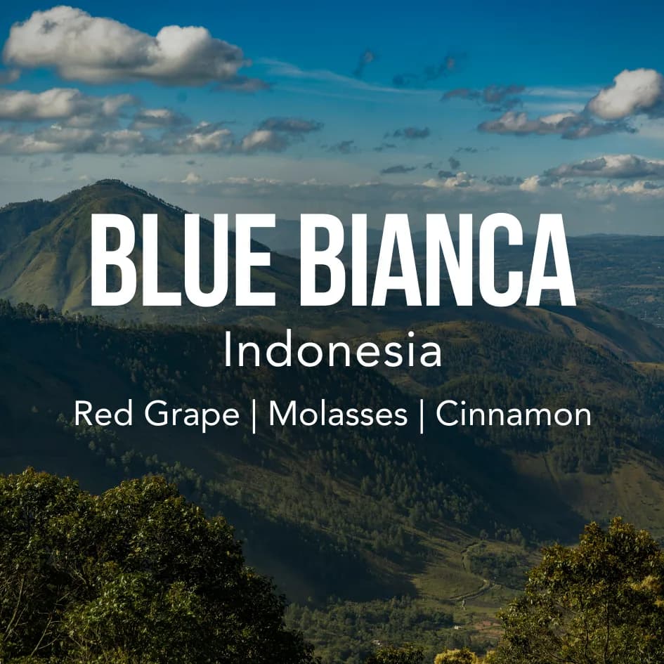 indonesia blue bianca, indonesia coffee from excelso coffee
