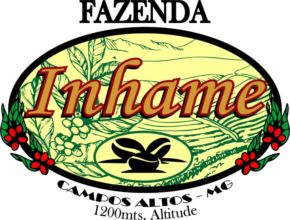 brazil peaberry fazenda inhame arabica green coffee beans (1kg), brazil coffee from pennine tea & coffee ltd