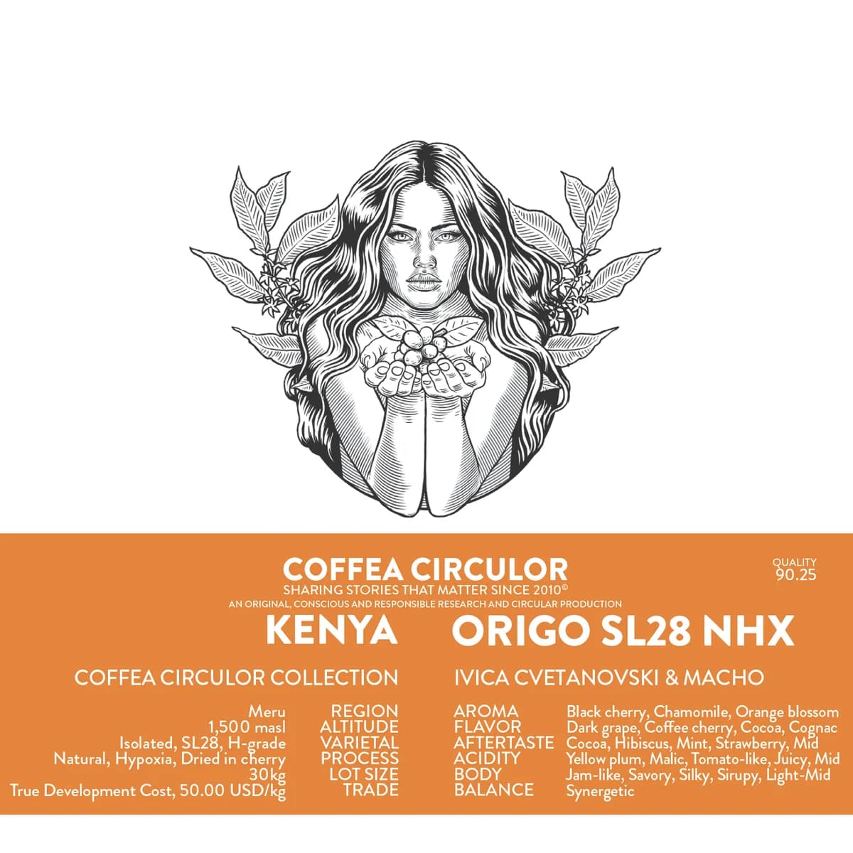 kenya coffea circulor origo isolated sl28 natural hypoxia nhx, kenya coffee from coffea circulor
