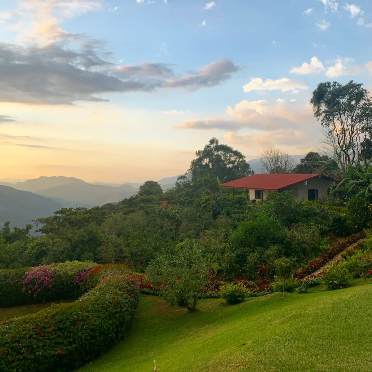 ws la minita del sol, costa rica coffee from beacon coffee company, inc.