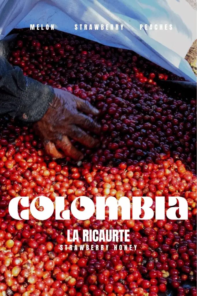 colombia – finca la ricaurte, colombia coffee from marshall street coffee