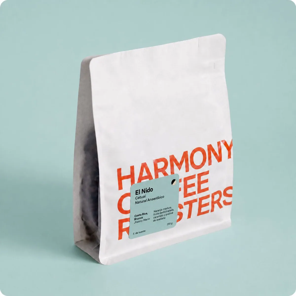 el nido, costa rica, costa rica coffee from harmony roasters