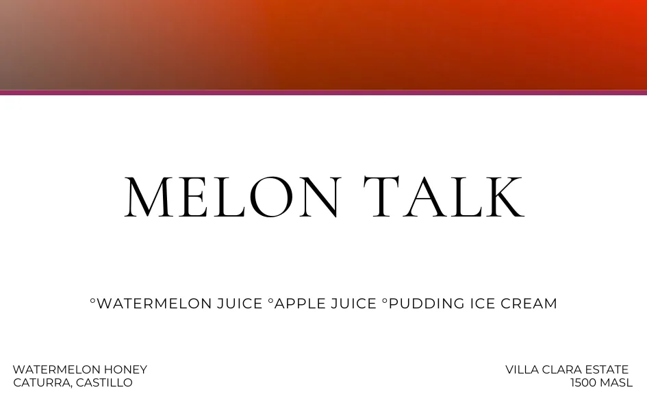 melon talk, colombia coffee from degree c cafe + roastery