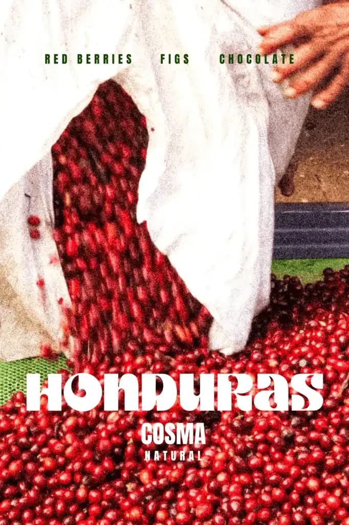 honduras – cosma, honduras coffee from marshall street coffee