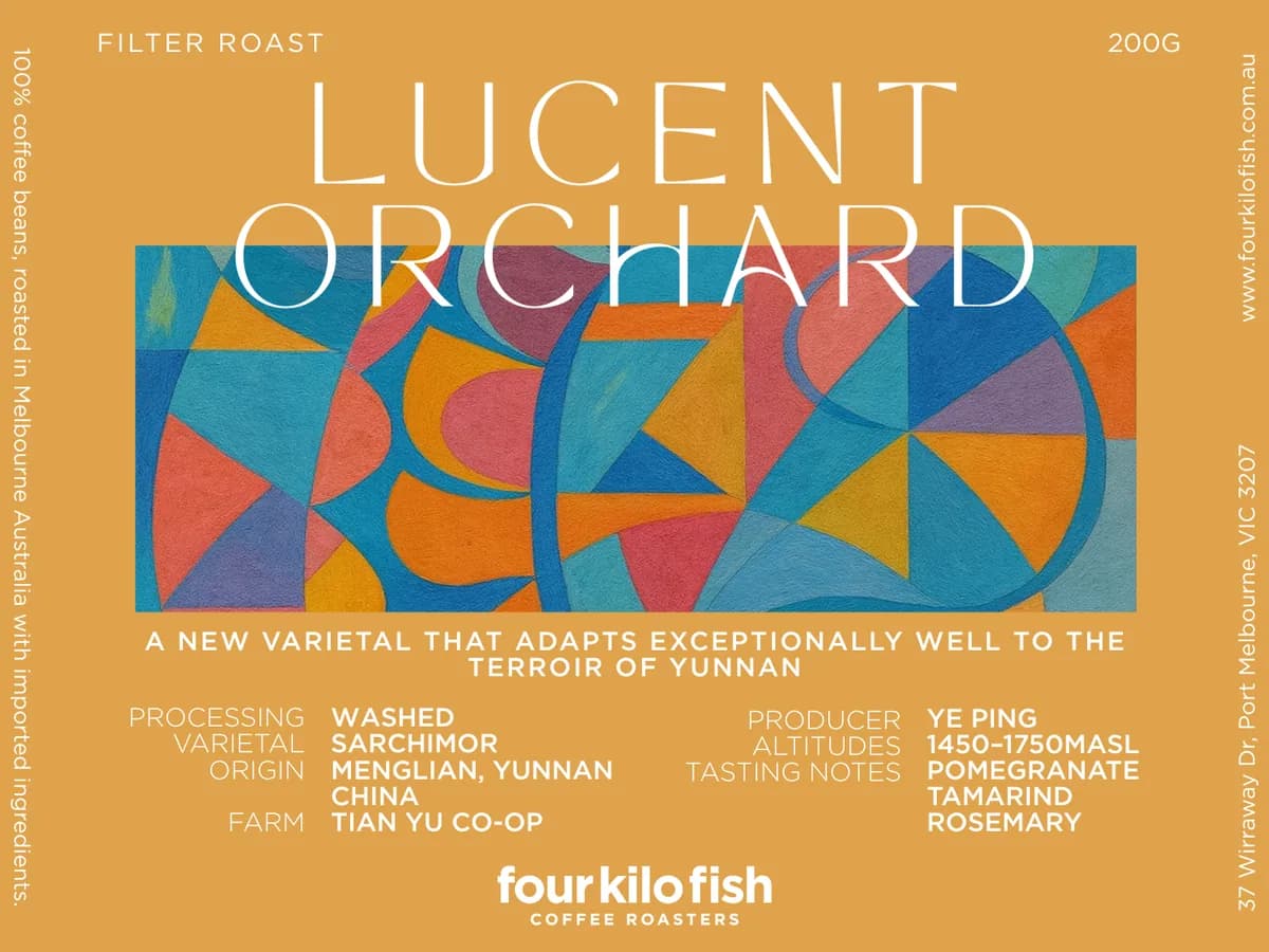 lucent orchard | washed sarchimor | yunnan, china | filter roast 200g, yunnan coffee from four kilo fish coffee & tea