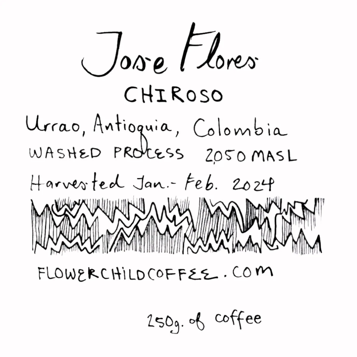 jose flores, colombia coffee from flower child