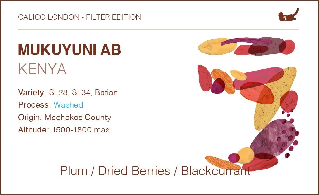kenya ab mukuyuni - traditional 72 hours washed, kenya coffee from calico coffee