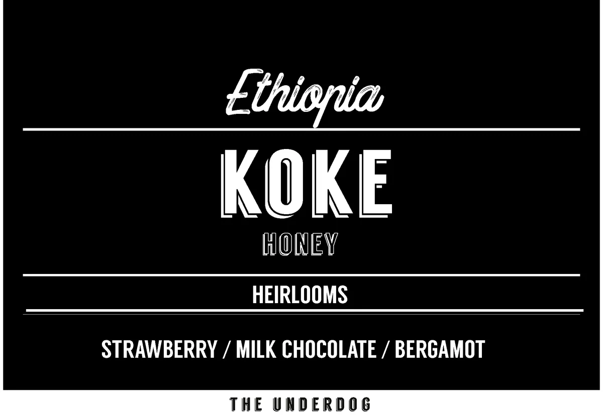 ethiopia, koke honey, 200 g, ethiopia coffee from the underdog