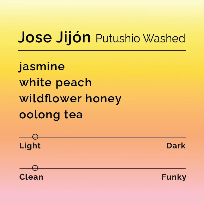 jose jijón - putushio washed, ethiopia + ecuador coffee from black & white coffee roasters