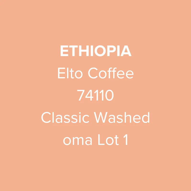 ethiopia elto coffee sidama bona 74110 classic washed oma lot 1, ethiopia coffee from oma coffee roaster