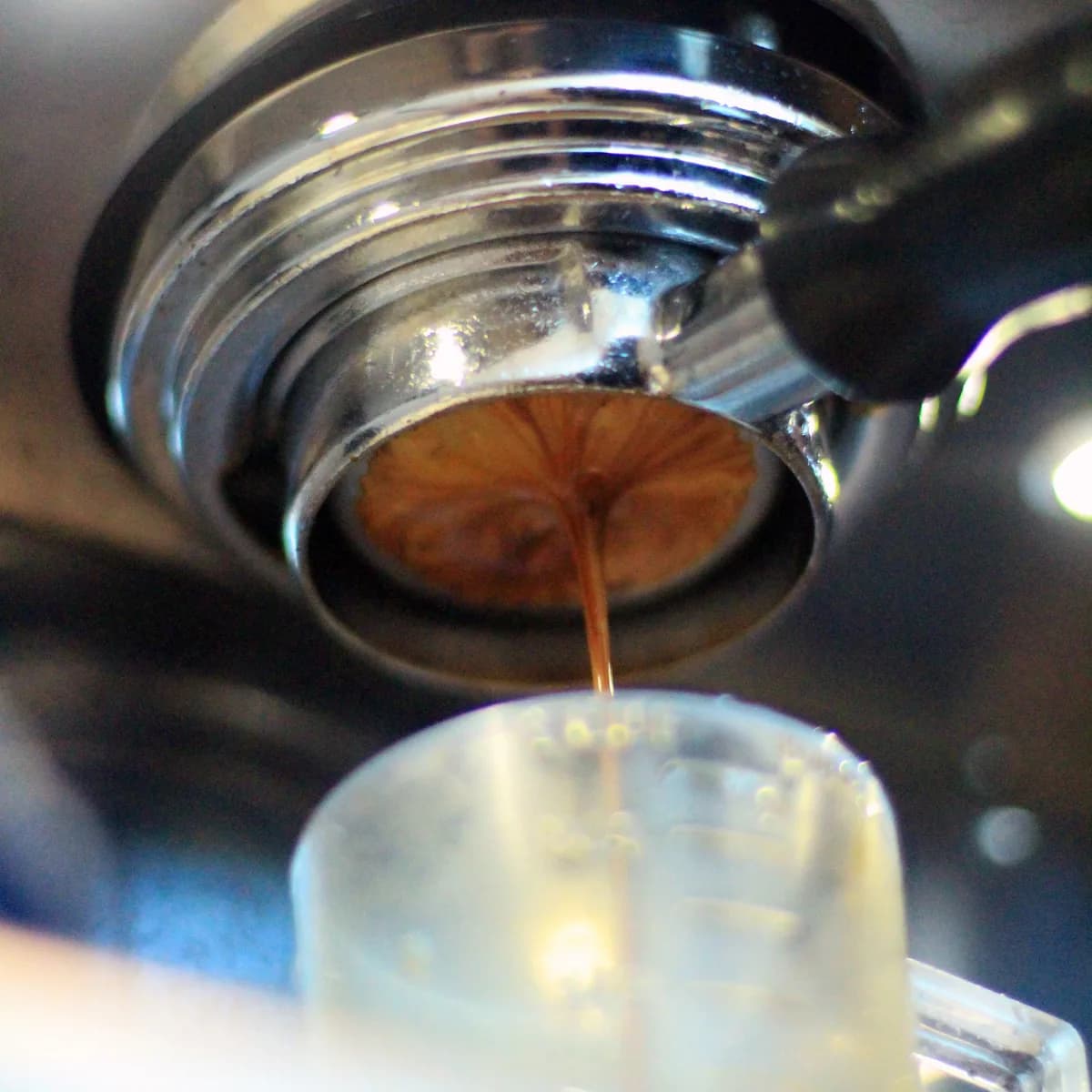 ws twenties espresso, costa rica coffee from beacon coffee company, inc.