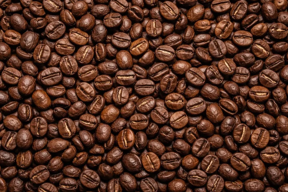 past crops roasted coffee beans, indonesia + sumatra coffee from pt. indonesia specialty coffee