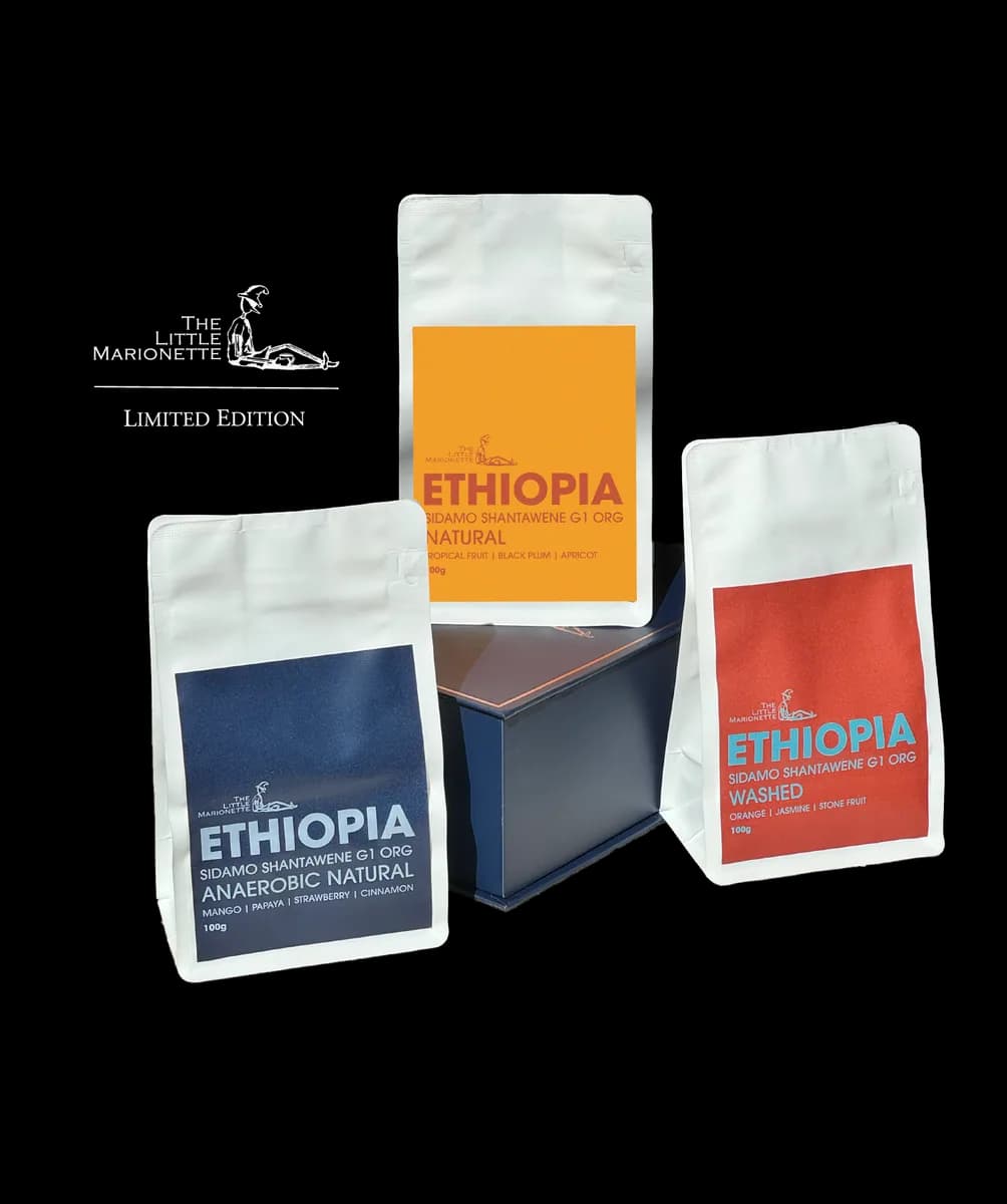 limited edition single origin pack | ethiopia sidamo shantawene, ethiopia coffee from the little marionette coffee roastery