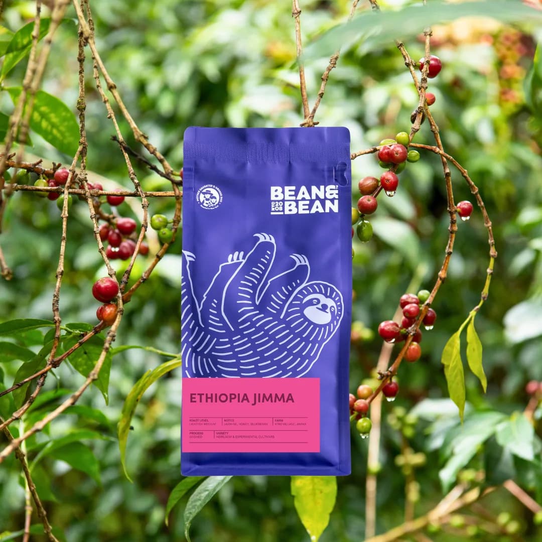 ethiopia jimma, ethiopia coffee from bean & bean queens — roastery & cafe