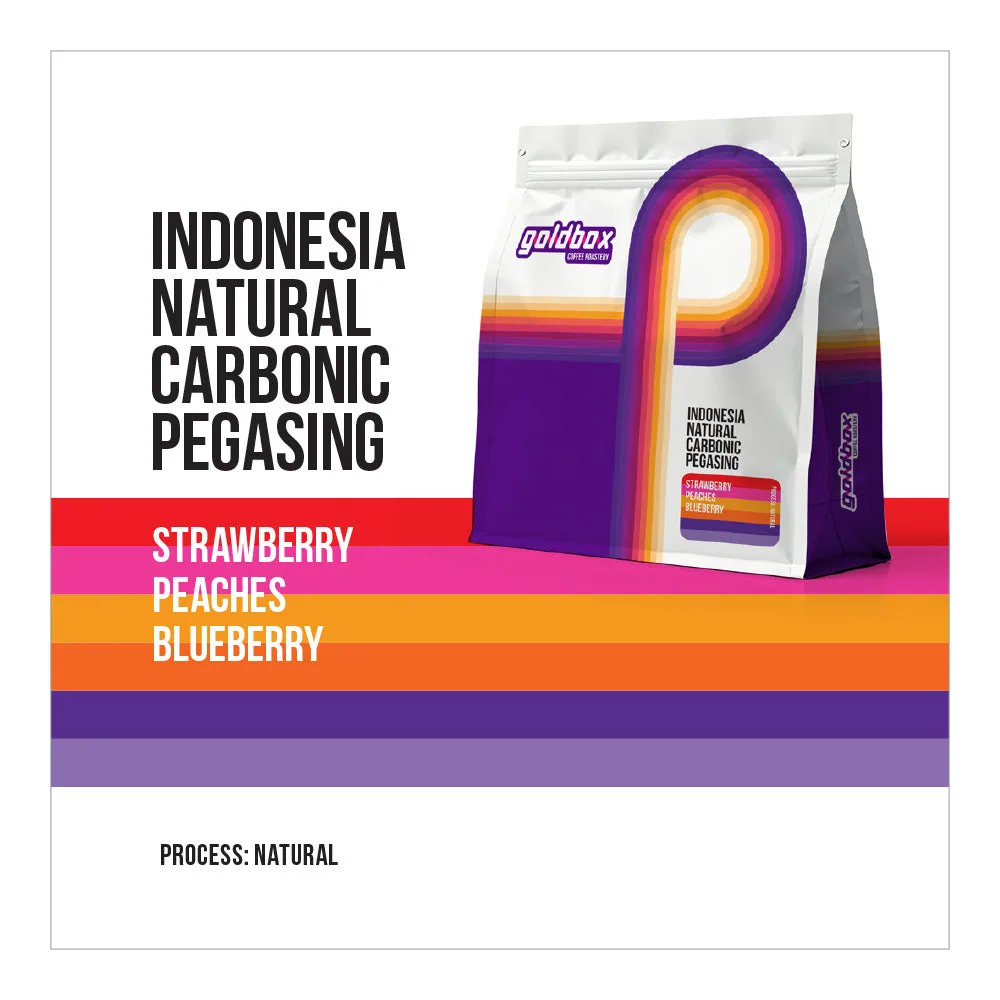 indonesia team pegasing cm, indonesia coffee from gold box roastery