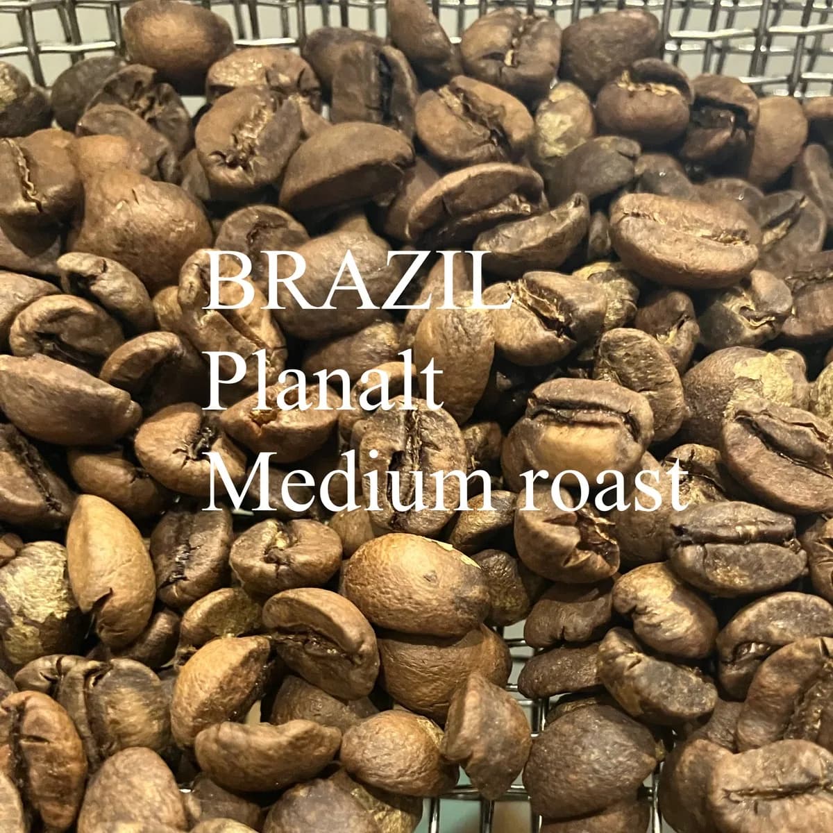 ブラジル浅煎り・プラナウト・ミディアムロースト 200g/brazil・planalt, brazil coffee from jupiters coffee roasters