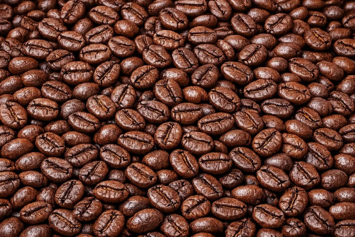 kalosi roasted coffee beans, indonesia coffee from pt. indonesia specialty coffee