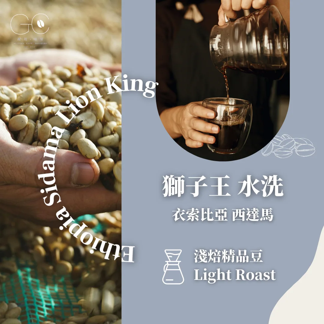 淺焙|衣索比亞 西達馬 獅子王 水洗 ethiopia sidama lion king washed, ethiopia coffee from gazecafe