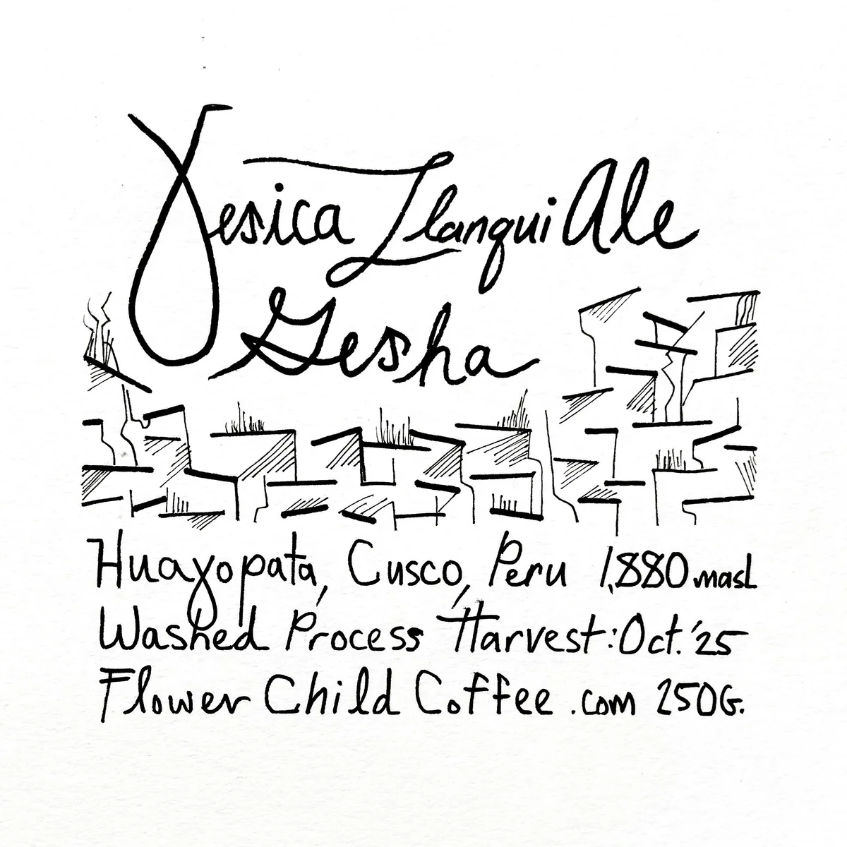 yesica ale llanqui - gesha, peru coffee from flower child