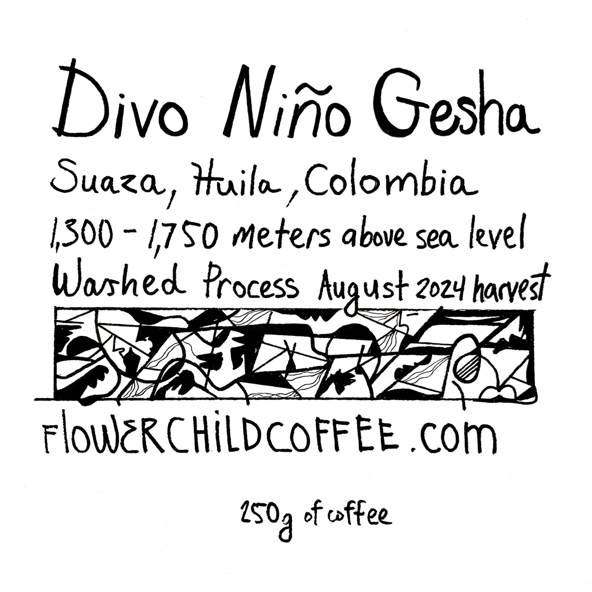 divo niño gesha, colombia coffee from flower child