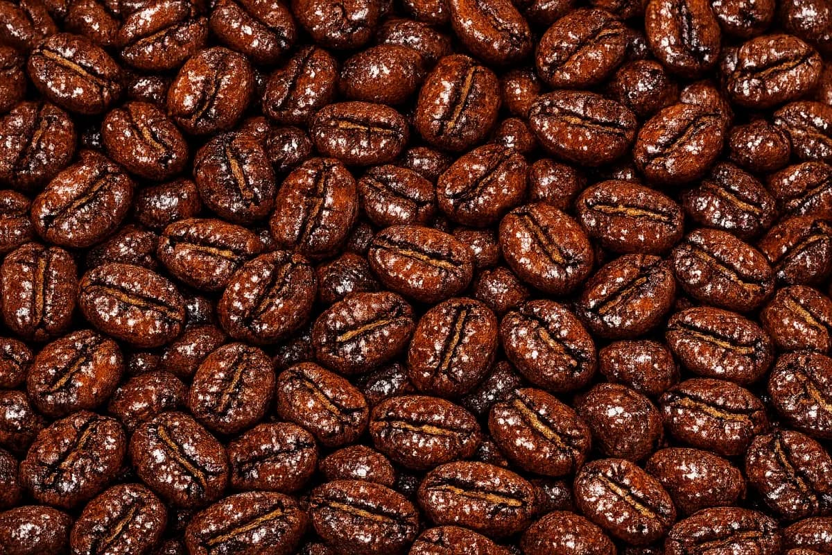 gayo honey roasted coffee beans, sumatra coffee from pt. indonesia specialty coffee
