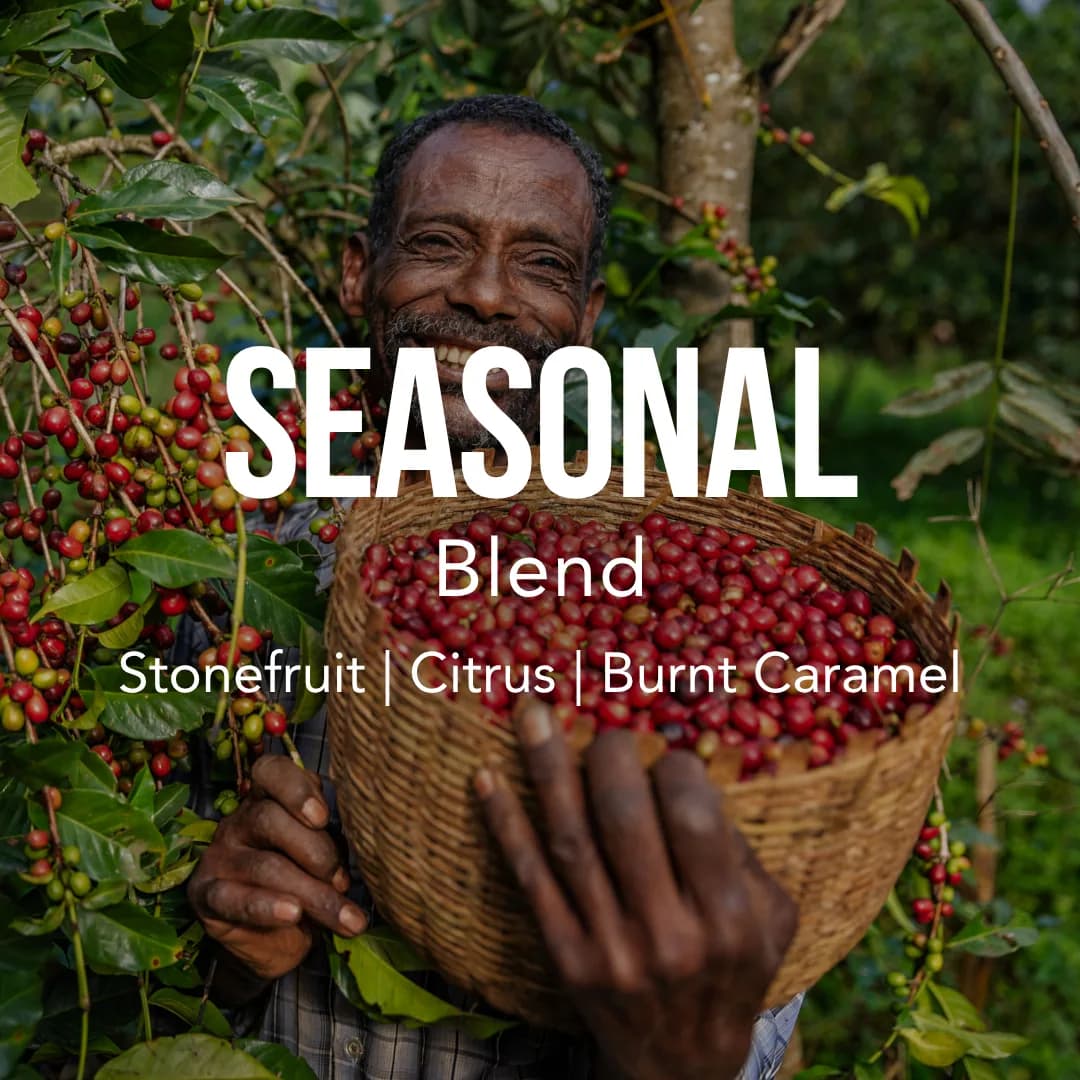 seasonal blend, ethiopia + colombia coffee from excelso coffee