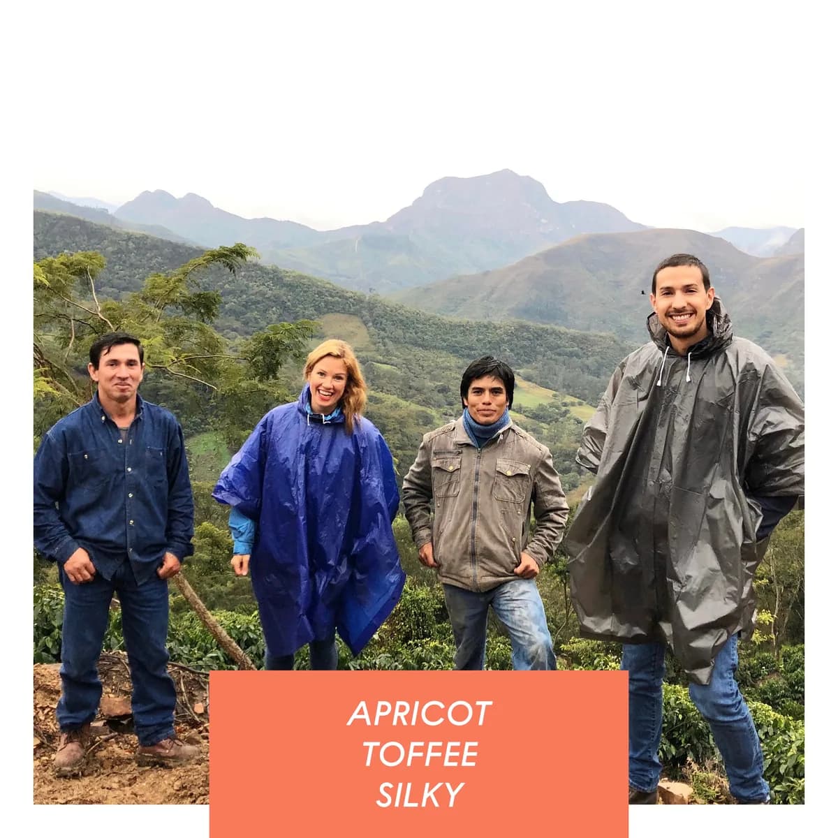 samaichacha, washed pacamara, bolivia, bolivia coffee from drop coffee roasters