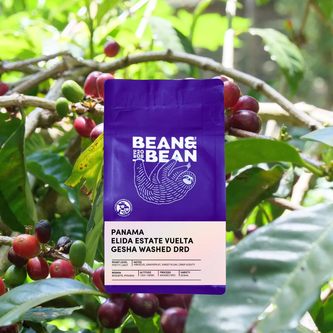 panama elida estate vuelta gesha washed drd, panama coffee from bean & bean queens — roastery & cafe
