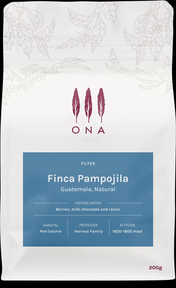 finca pampojila, guatemala, natural, guatemala coffee from ona