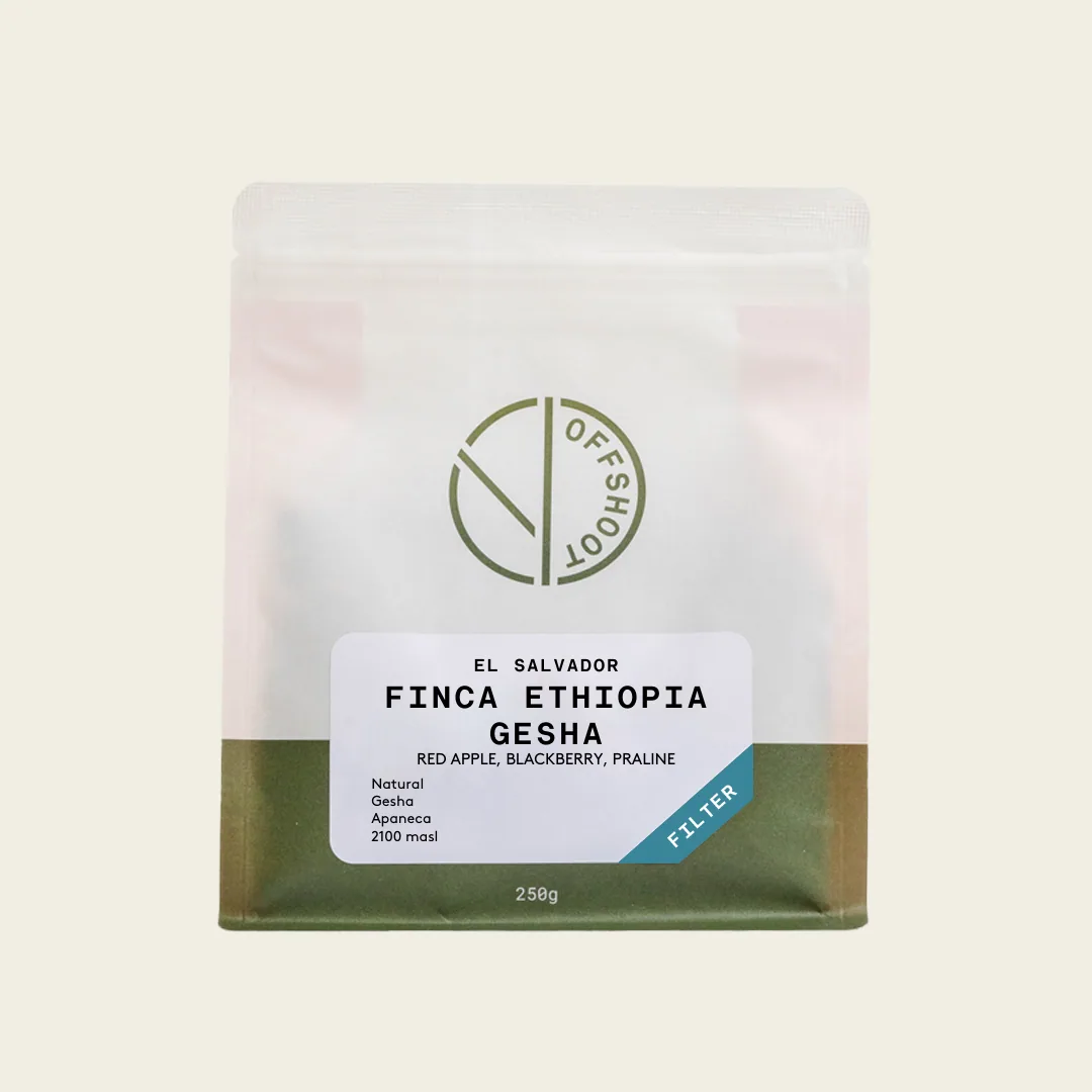 finca ethiopia - gesha, ethiopia coffee from offshoot coffee