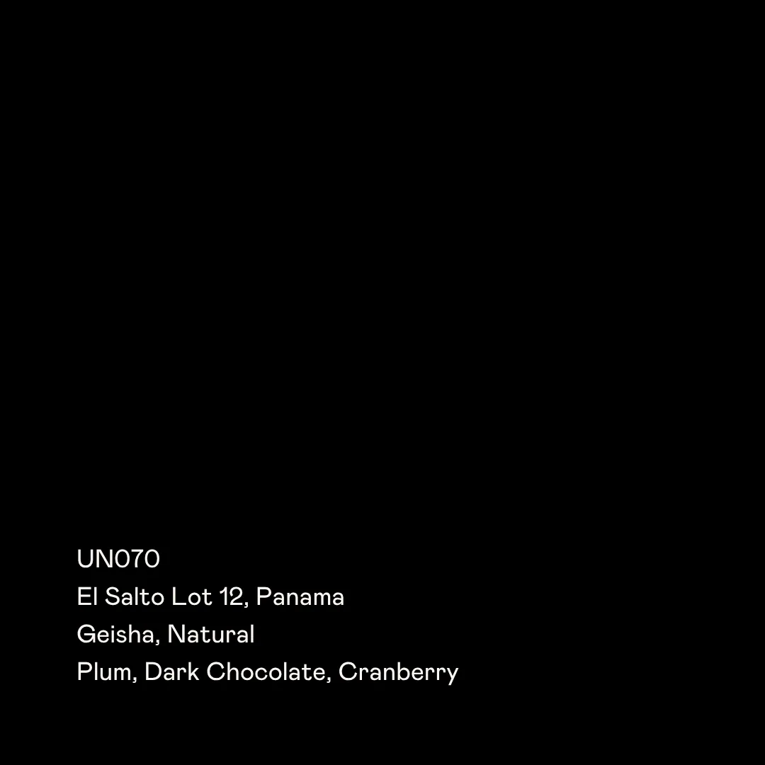 un070 - el salto lot 12, geisha natural, panama coffee from special guests